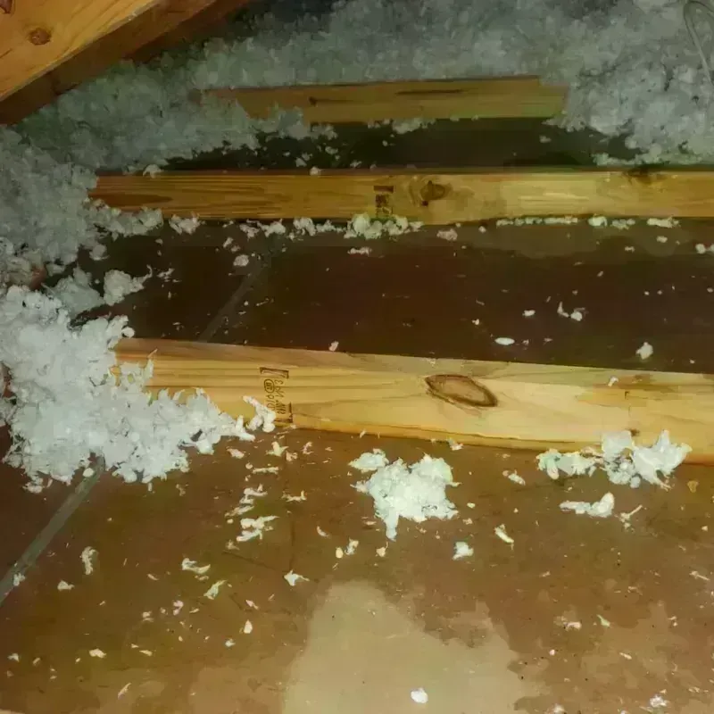 Attic Water Damage in Bay Point, CA