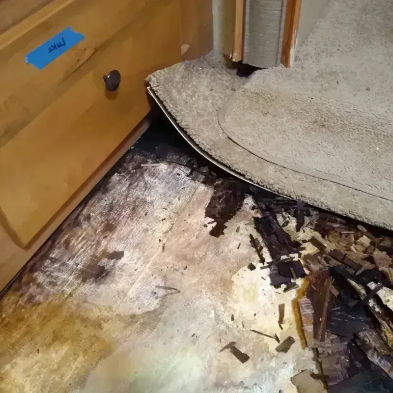 Wood Floor Water Damage in Bay Point, CA